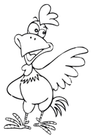 rooster tipp